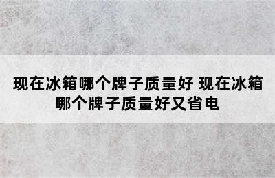 现在冰箱哪个牌子质量好 现在冰箱哪个牌子质量好又省电